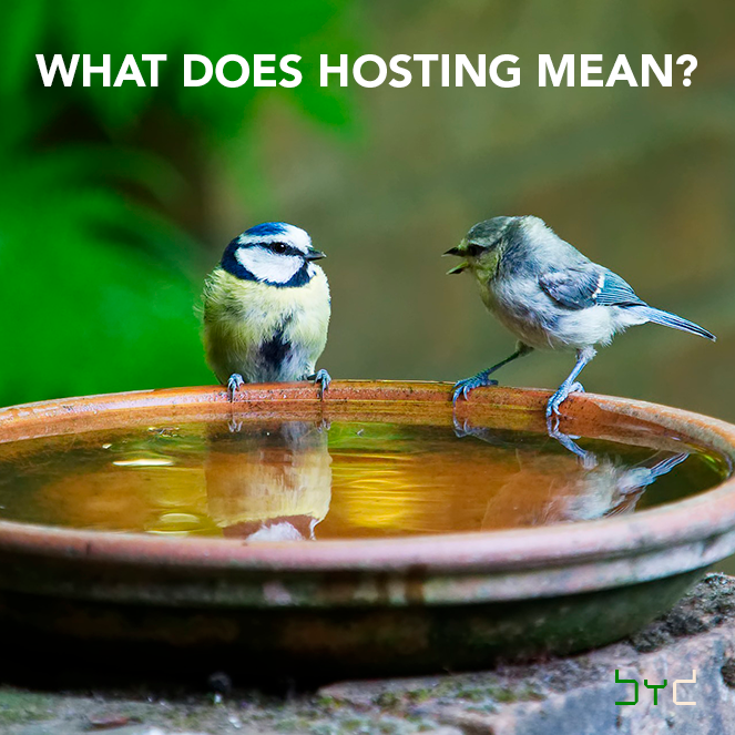 What does hosting mean?