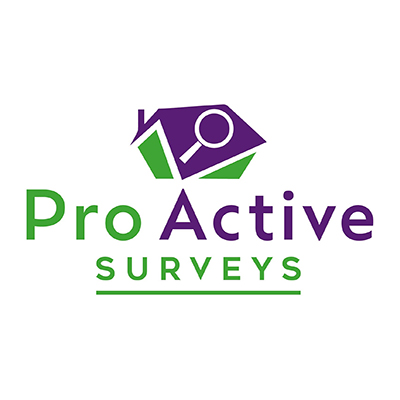 Pro Active Surveys