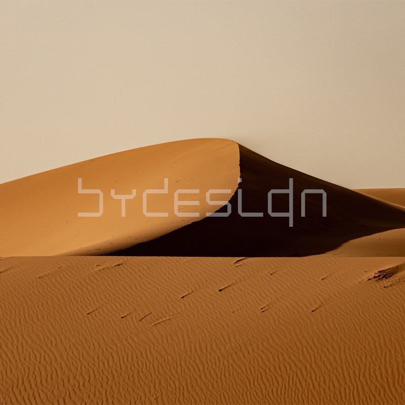 BYD Newsletter - Issue 64